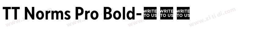 TT Norms Pro Bold字体转换 TT Norms Pro Bold字体转换